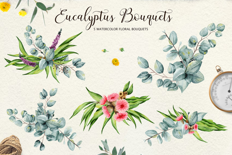 eucalyptus-collection-letter