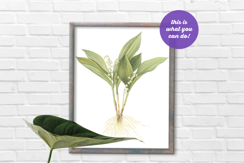 non-photoshop-mockup-frame-with-leaf