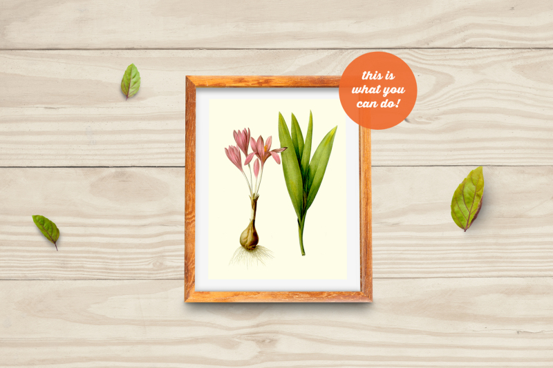 non-photoshop-mockup-woden-frame-with-leafs