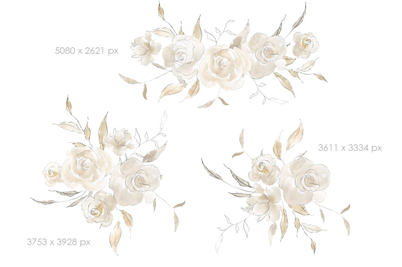 watercolor-amp-pencil-beige-flowers-roses-peonies-bouquets-frames