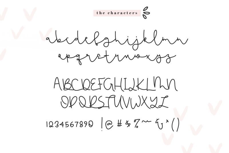 flamingo-a-handwritten-script-font