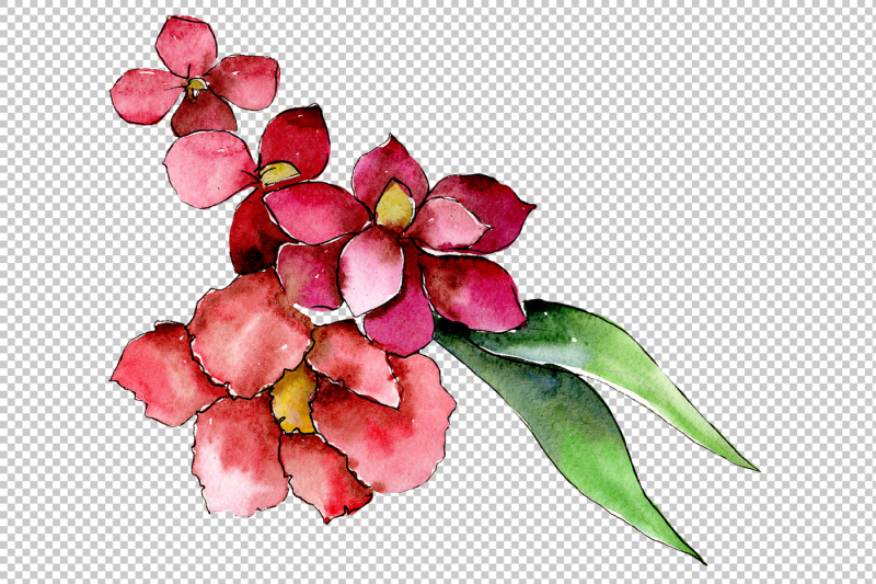 bouquet-of-tropical-colorful-flower-png-watercolor