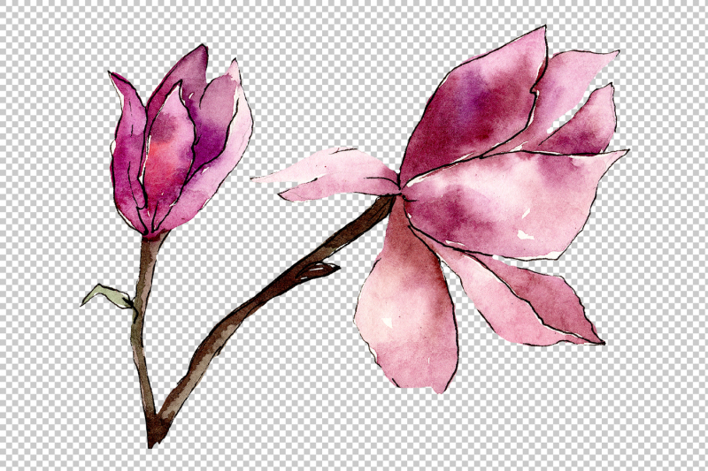 tender-pink-magnolia-png-watercolor-set