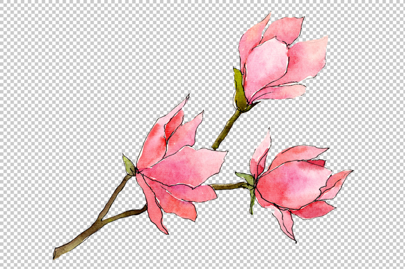 tender-pink-magnolia-png-watercolor-set