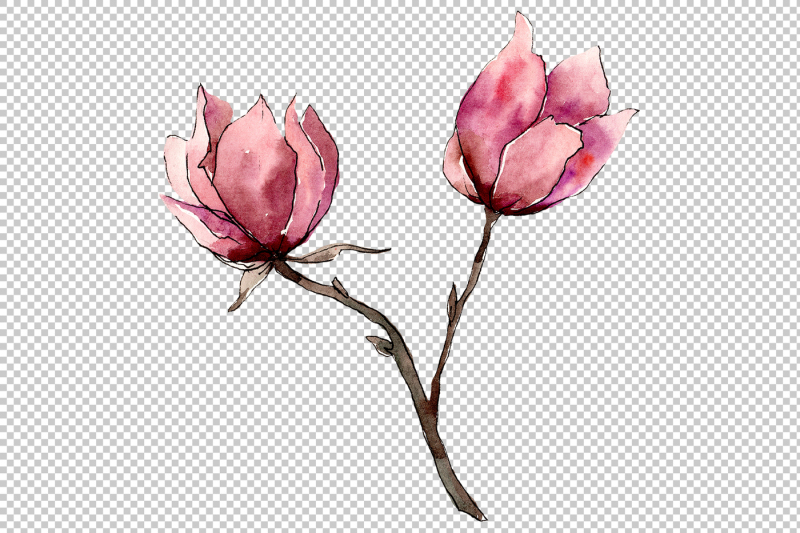 tender-pink-magnolia-png-watercolor-set