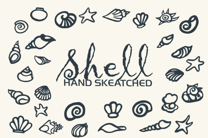 shell-clipart-vector-and-png