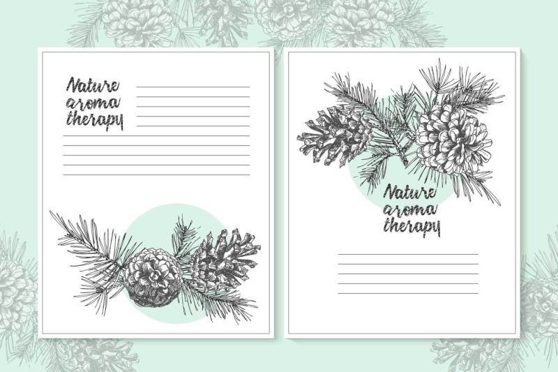 hand-drawn-sketch-fir-with-pinecones