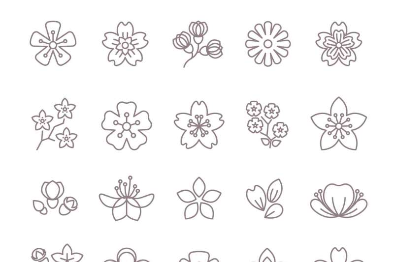 spring-flower-thin-line-vector-icons-set