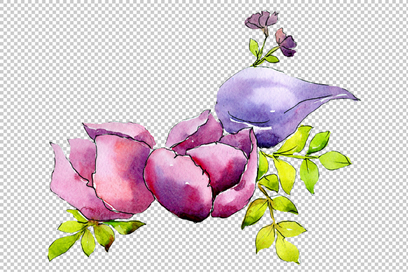 flower-composition-png-watercolor-set-nbsp