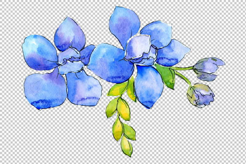 flower-composition-png-watercolor-set-nbsp