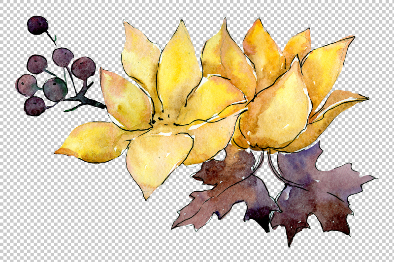 flower-composition-png-watercolor-set-nbsp