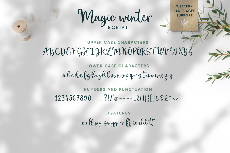 magic-winter-script-font-duo-amp-logos