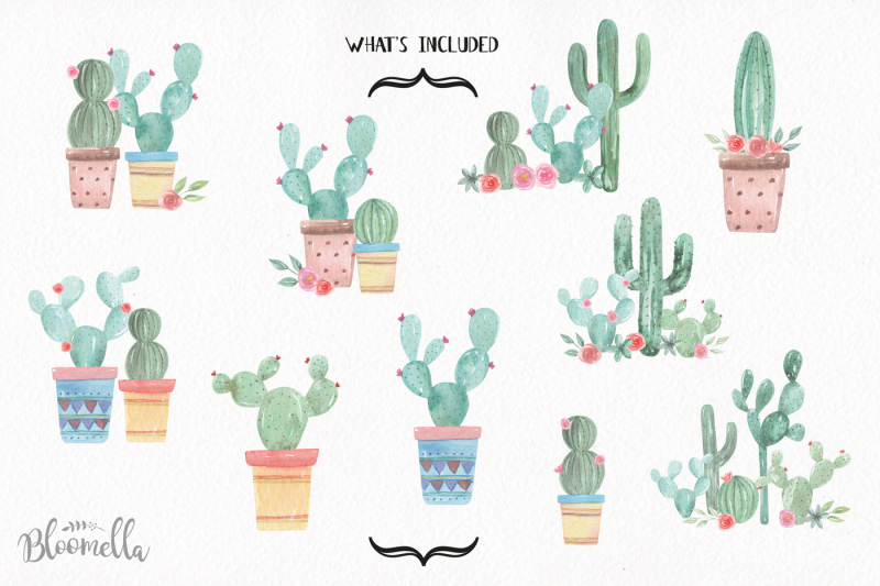 cactus-watercolor-clipart-pots-floral-cacti-succulents-painted