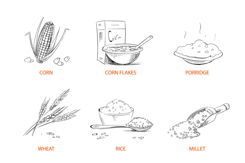 doodle-cereals-groats-porridge-muesli-cornflakes-oat-rye-wheat