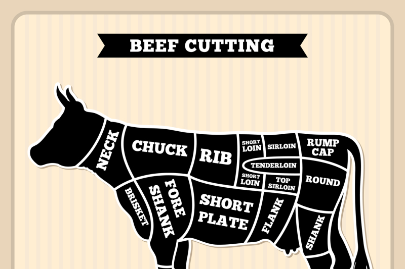 beef-cow-cuts-butcher-vector-diagram