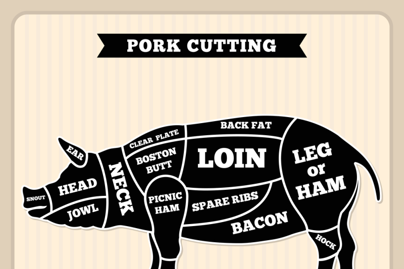 pork-pig-meat-cutting-vector-vintage-chart-cuts-guide-diagram