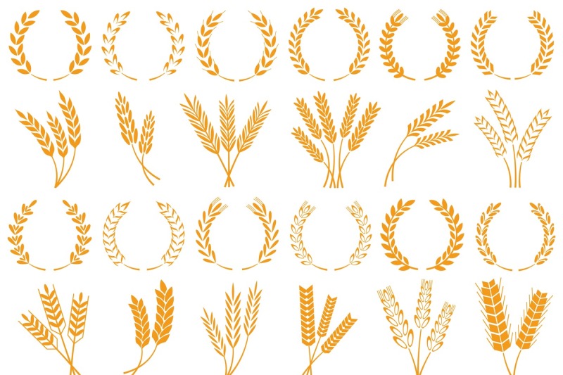 wheat-or-barley-ears-harvest-wheat-grain-growth-rice-stalk-and-bread