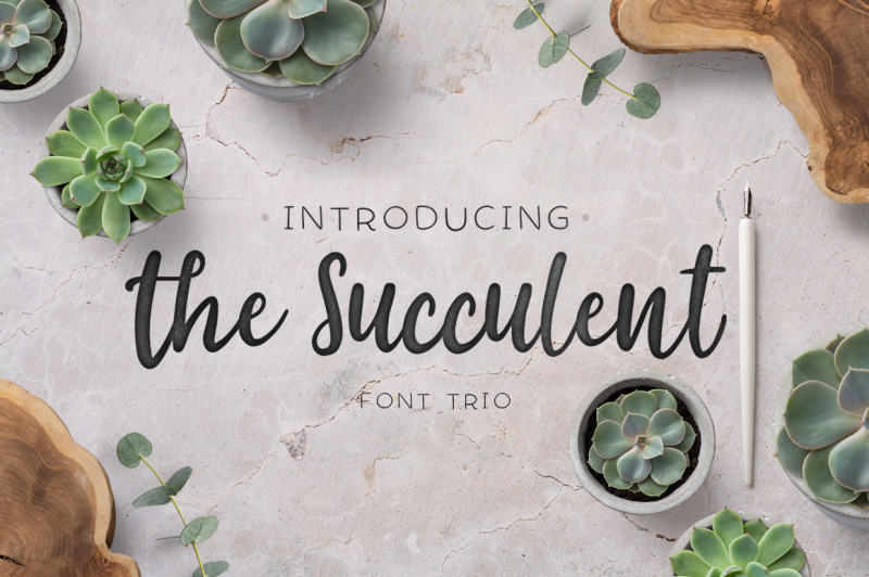the-succulent-font-trio