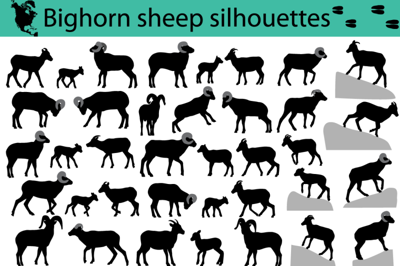 bighorn-sheep-silhouettes