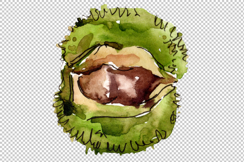 autumn-chestnut-png-watercolor-plant-set