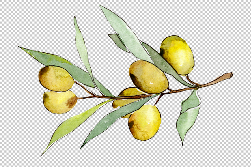 watercolor-olives-png-set