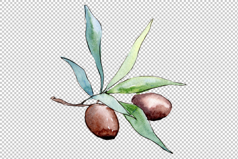 watercolor-olives-png-set