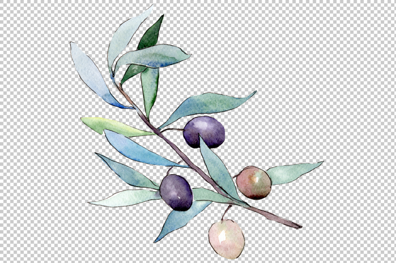 watercolor-olives-png-set