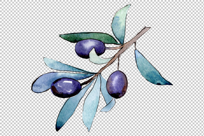 watercolor-olives-png-set