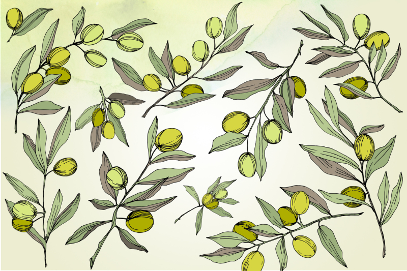 olives-vector-eps-watercolor-set-nbsp