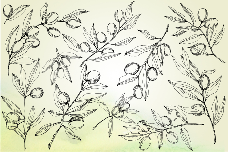 olives-vector-eps-watercolor-set-nbsp