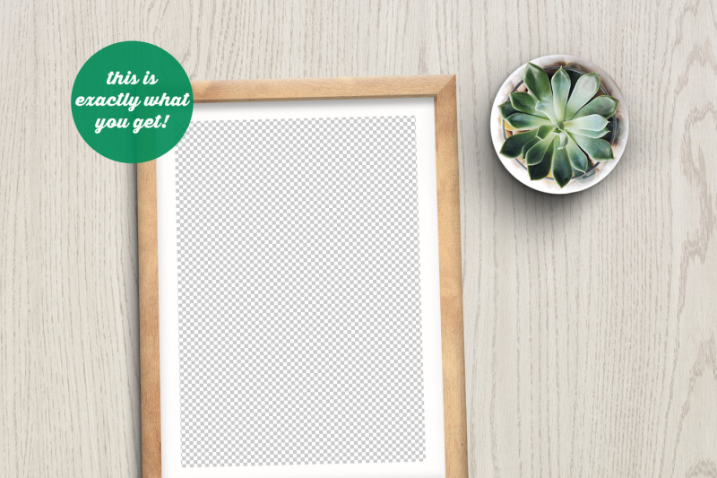 non-photoshop-mockup-frame-with-succulent