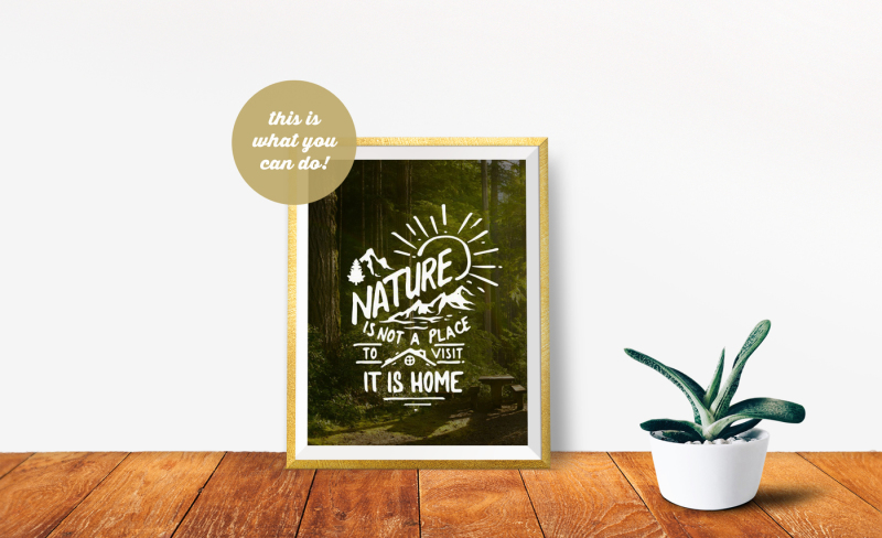 non-photoshop-mockup-frame-with-green-plant