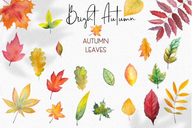bright-autumn-watercolor-collection