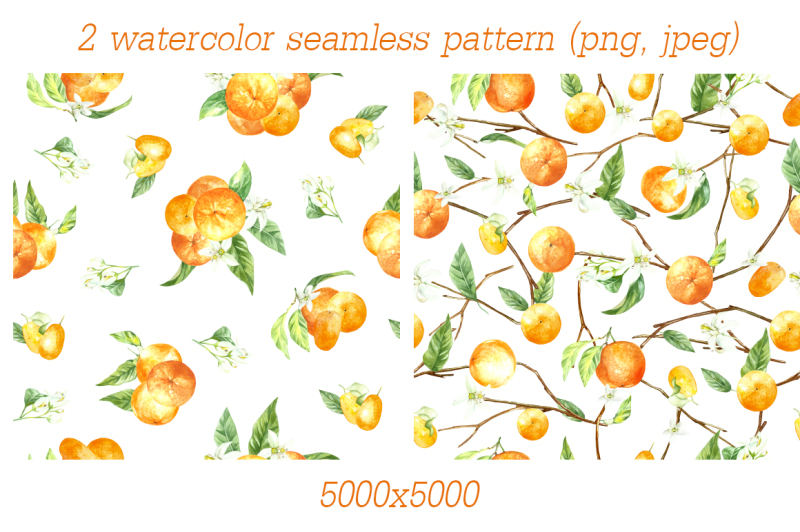 watercolor-orange-fruit-set