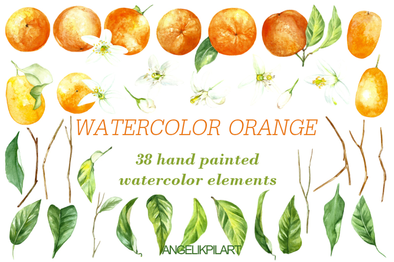 watercolor-orange-fruit-set