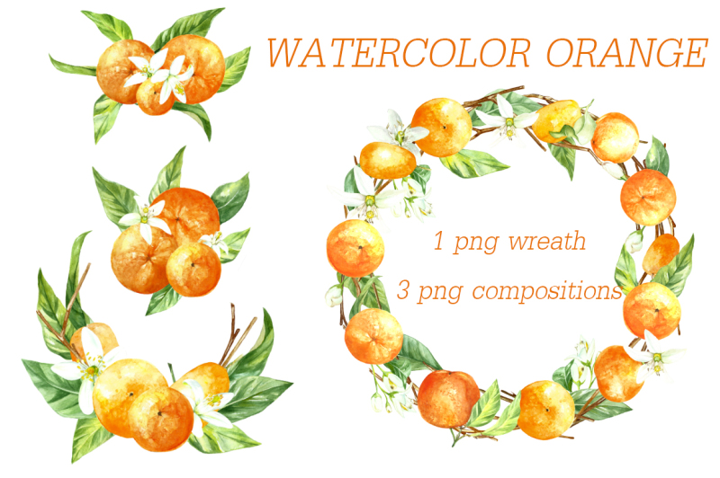 watercolor-orange-fruit-set