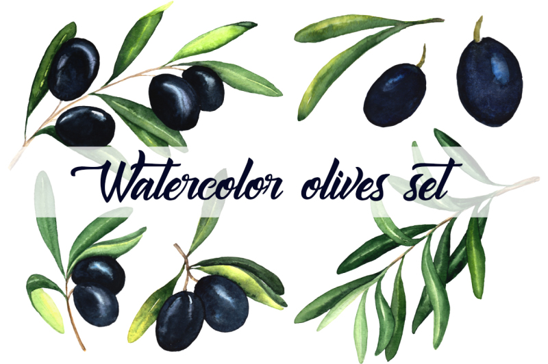 watercolor-olives-set