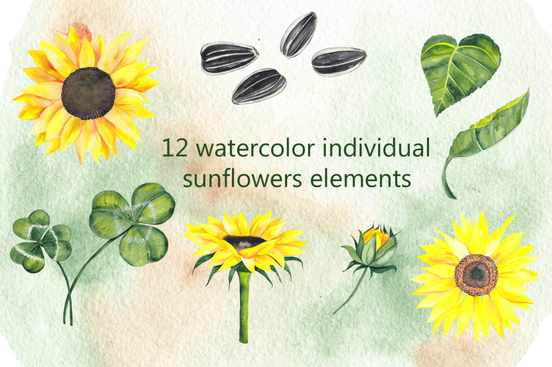 watercolor-summer-flowers