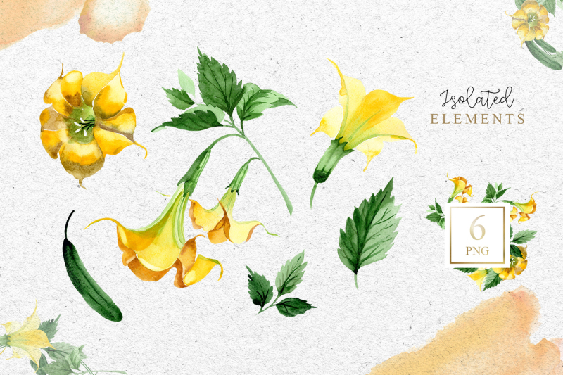 yellow-brugmansia-png-watercolor-set