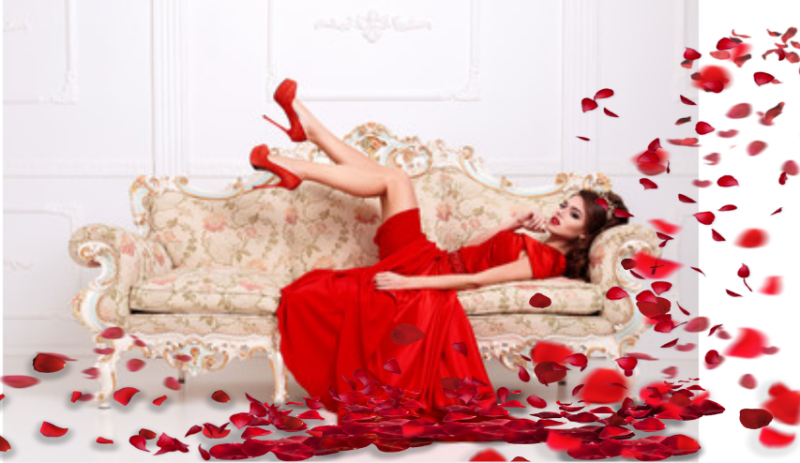 40-rose-petals-photo-overlays-in-png-photography