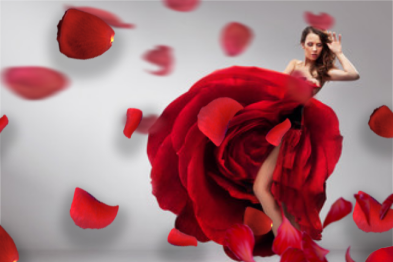 40-rose-petals-photo-overlays-in-png-photography