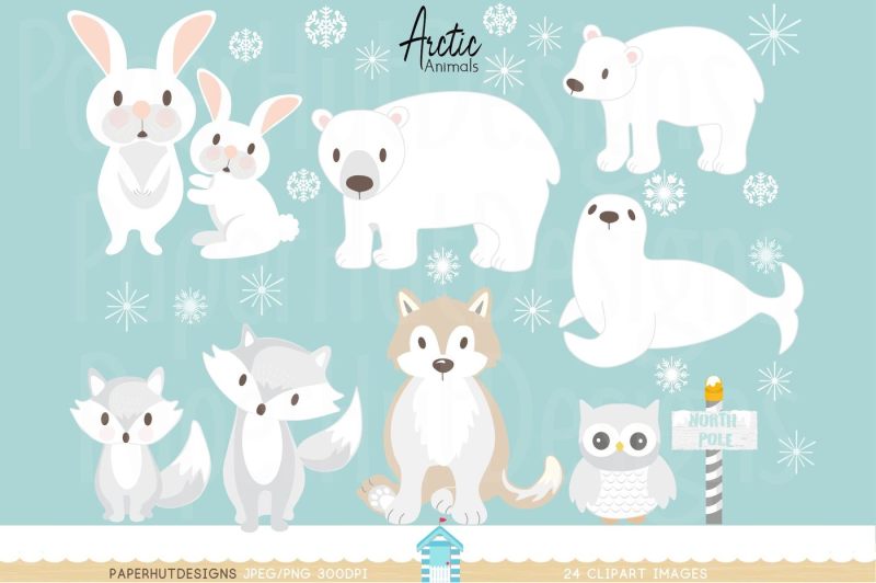 Arctic Animals Clipart By PaperHutDesigns | TheHungryJPEG.com