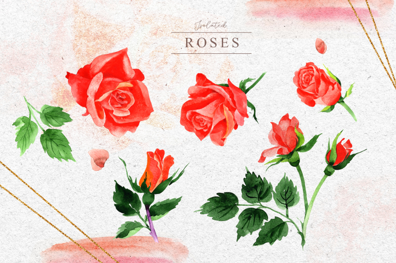 r-rose-png-watercolor-set