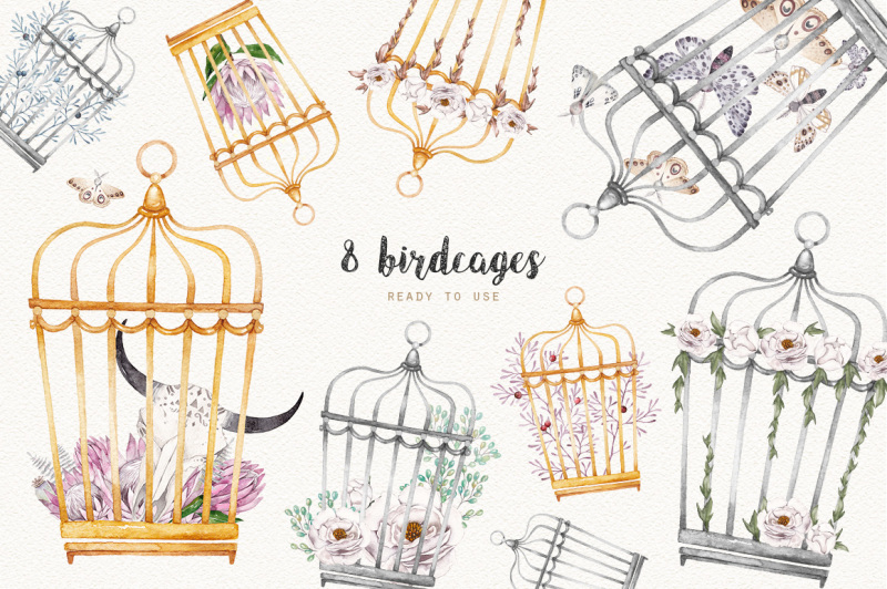 moths-and-birdcage-watercolor-set