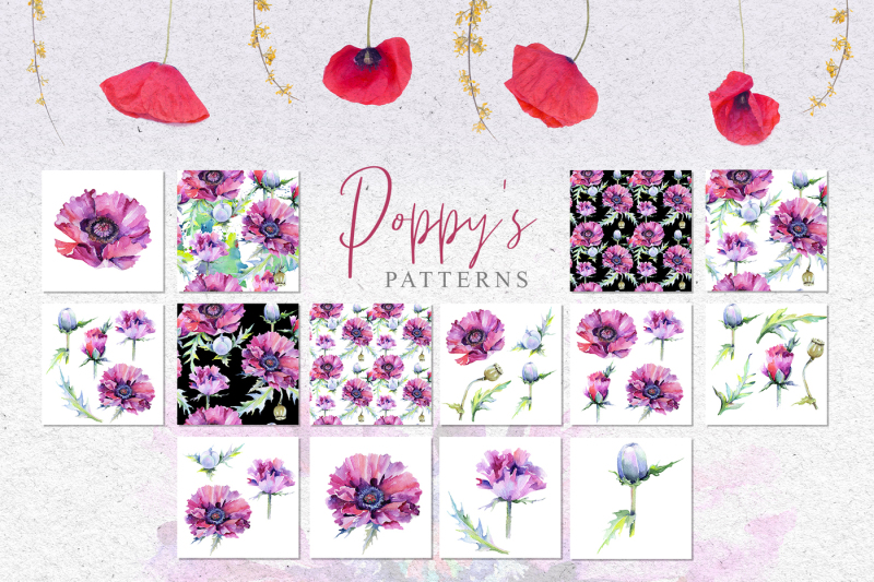 pink-poppy-flower-png-watercolor-set
