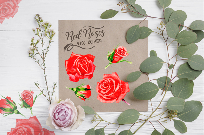 wonderful-red-rose-watercolor-design-pack