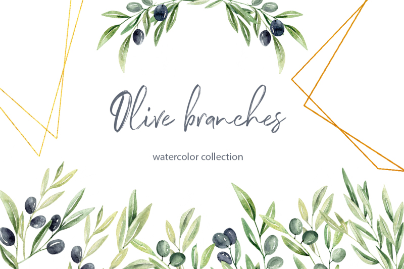 watercolor-olive-branches