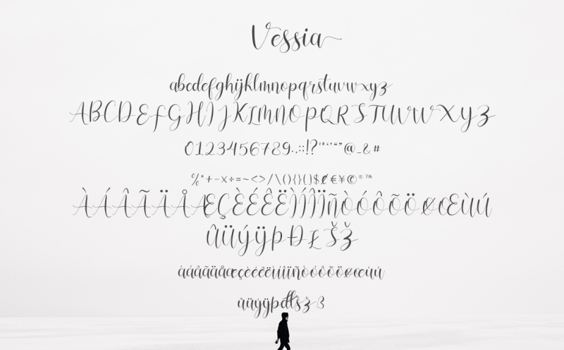 vessia-a-lovely-script-font