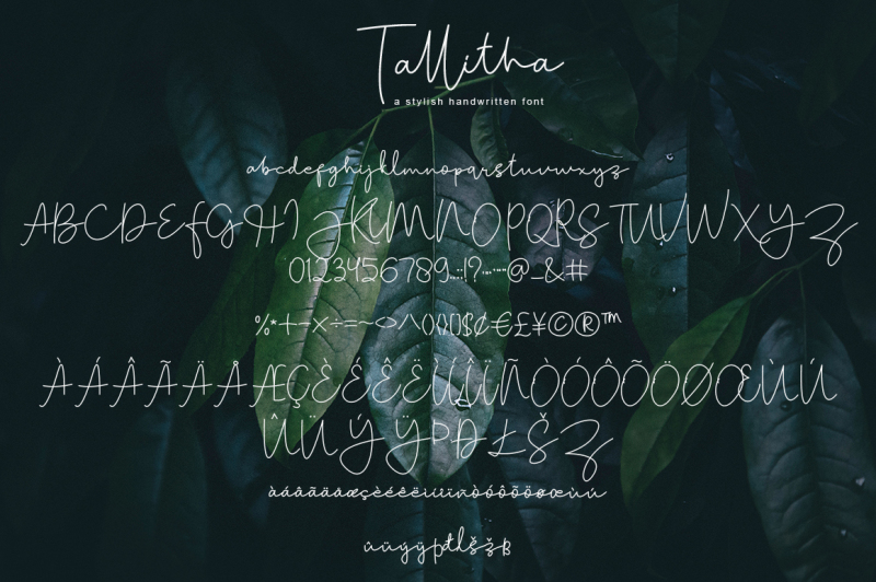 tallitha-a-stylish-handwritten-font