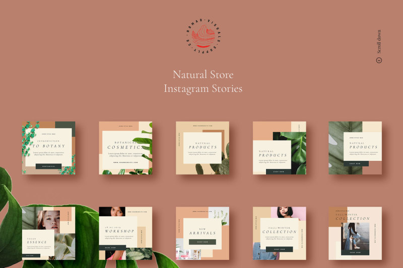 the-natural-store-instagram-stories-and-posts